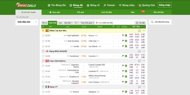 Khả năng tìm kiếm thông tin đa dạng